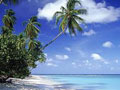 tobago travel tips