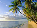 tobago beaches